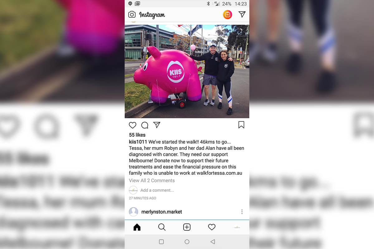 Inflatable Pig On Social Media